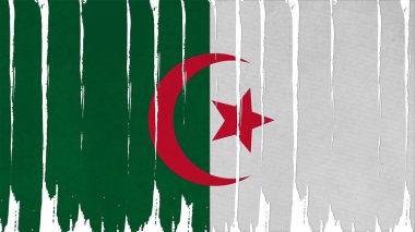 Cezayir bayrağı dikey boya dokusu