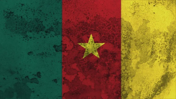 Bandiera del Camerun vecchia texture — Foto Stock