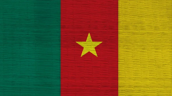 Kamerun Flagge japanische Matten Textur — Stockfoto