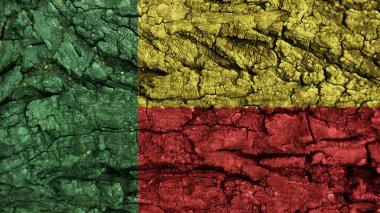 Benin Bayrak kaba doku