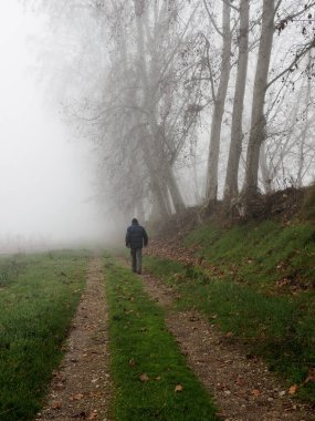 Sonbaharda yapraksız ağaçlar ve siste yürüyen bir adam. Kırsal alan. Yalnızlık kavramı