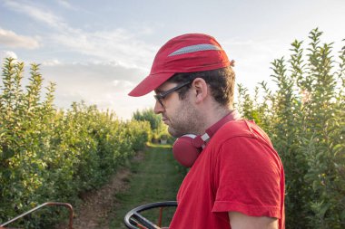 Kırmızı gömlekli ve şapkalı genç bir çocuk, kulaklıkla müzik dinlerken meyve bahçesinde elma toplama makinesi kullanıyor. Tarım kavramı.