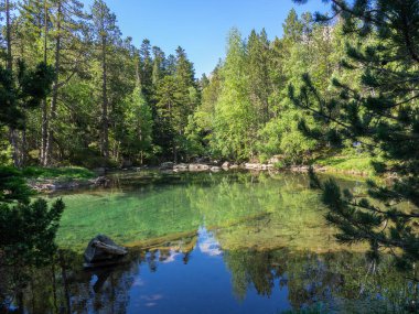 Aiguestortes ve Estany Sant Maurici Ulusal Parkı 'ndaki küçük göl, Katalan Pireneleri, İspanya