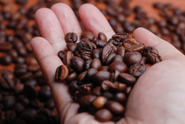 Right Hand Hold The Coffee Bean  clipart