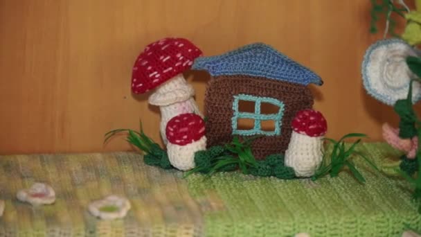 Hut Mushrooms Connected Threads Needlework — стоковое видео