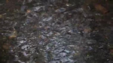 Water flows in a shallow river with a stoney bottom. Close-up