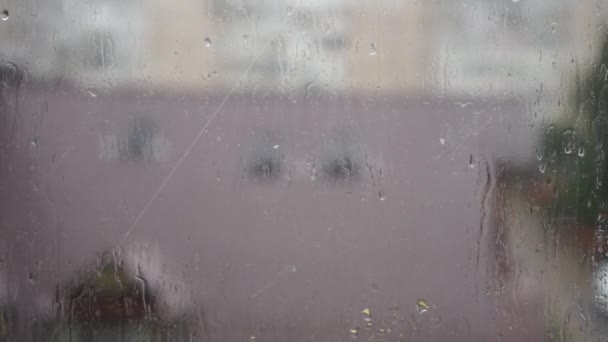 Raining Window Misty Window Glass — Vídeo de stock