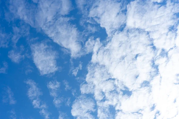 White Cumulus Clouds Background Blue Sky — Fotografia de Stock