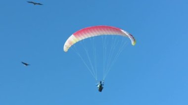 Paraşütle atlayan sporcu kadın büyük akbabalar tarafından kuşatılmıştı. Sanki aynı aileden geliyor gibiydiler. Arka planda muhteşem mavi bir gökyüzü vardı.