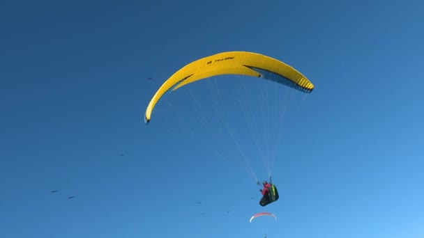 Ponferrada Leon Spain 2019 女运动员 身披滑翔伞 四周环绕着宏伟的秃鹫计划 好像他们来自同一个家庭 背景是壮观的蓝天 — 图库视频影像