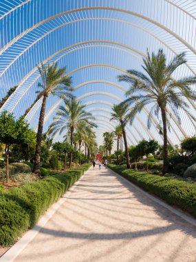 Valencia, İspanya; 10-03-2021: Çevresinde çimen ve bahçe çalıları olan büyük palmiye ağaçları ve üzerinde uzun metalik beyaz çubuklardan oluşan geniş bir yapı ile çevrili yol, güneşli bir günde mavi bir gökyüzünü görmesine olanak sağlıyor.