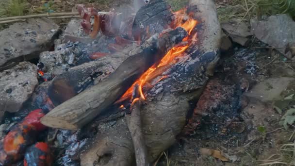 Vidéo Ralenti Barbecue Fait Sur Terrain Avec Bois Chauffage Entouré — Video