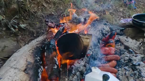 Video Slow Motion Barbecue Pit Field Sizzling Logs Wood While — Stock Video