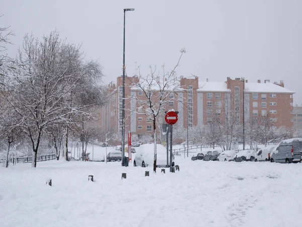 Park Completely Snowed Filomena Letting See Roads Sidewalks City While — Stock Photo, Image