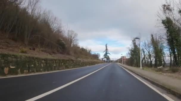 冬には木に囲まれたカーブや警報標識の多い山道を走行する車両の主観カメラ — ストック動画