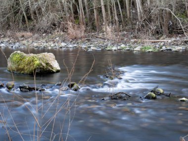 Sil Nehri 'nin Ponferrada' dan geçerken çekilmiş uzun pozlu bir fotoğrafı. Akıntı kayaların arasından geçerken bulanıklaşmış ve ağaçların çalılıkları nehir kıyısına yığılmış.