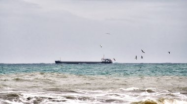 Güçlü dalgaların olduğu bir günde kıyıya yakın seyreden boş bir kargo gemisi.