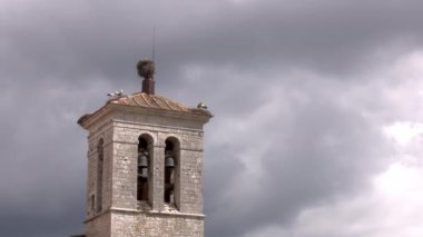 Kırsal bir kilisenin çan kulesinin çatıda leylek yuvaları, kara bulutlar ve yağmurun olduğu bir günde etrafında uçan leylekler ve güvercinler...