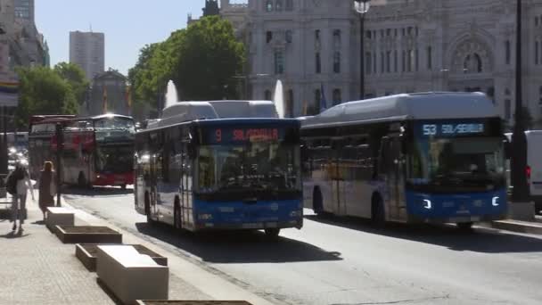 Madrid Spain 2022 Buses Going Puerta Del Sol Passing Cibeles — Stock Video