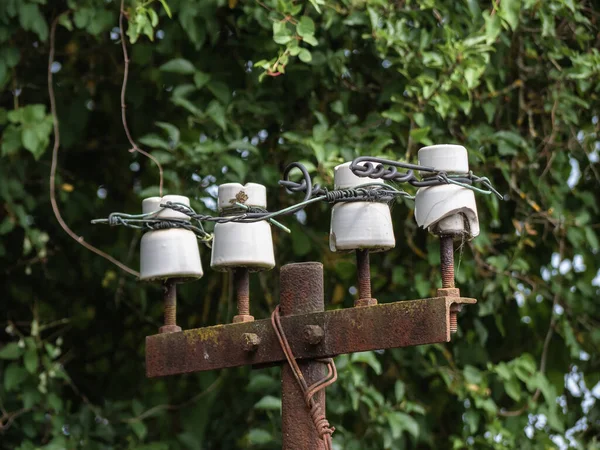 Four Old White Porcelain Insulators Perched Top Rusty Dilapidated Post — Zdjęcie stockowe