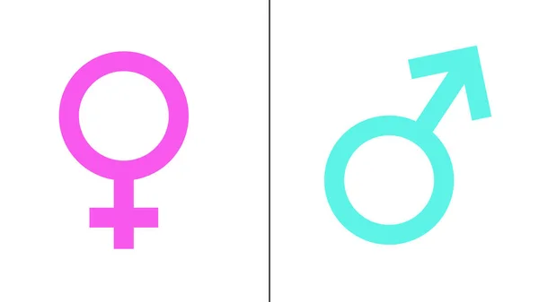 Illustration Female Male Symbols — Stock Photo, Image