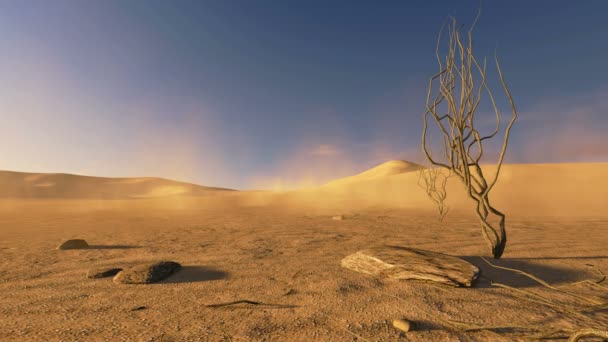 Захід сонця у пустелі з мертвих дерев і пісок дме — стокове відео