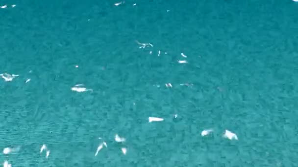 Поверхность воды бассейна с отражением 2 — стоковое видео