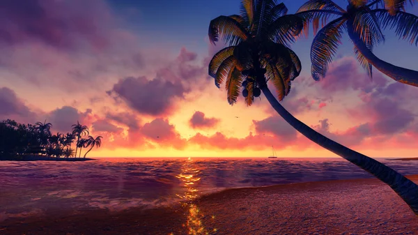 Kokospalm silhuetter i solnedgången — Stockfoto