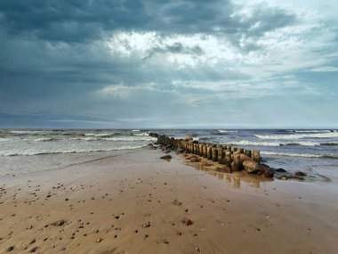 Baltık deniz kıyısındaki boş kumlu sahilde dramatik bulutlu bir gökyüzü. Fırtına dalgaları, alacakaranlıkta ya da şafakta eski ahşap dalgalar üzerinde yuvarlanıyor. İnsansız, manzaralı deniz manzaralı..