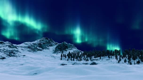 Lugnt Vinterlandskap Med Norrsken Aurora Borealis Blinkar Arktisk Himmel Över — Stockvideo