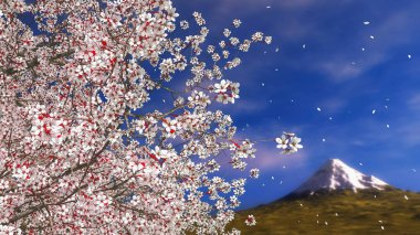Çiçek yaprakları ve Fuji tepecikleri ile çiçek açmış yemyeşil sakura kiraz ağacına yakın çekim. İlkbahar sezonu 3 boyutlu görüntüleme dosyamdan 3 boyutlu arkaplan çizimi.