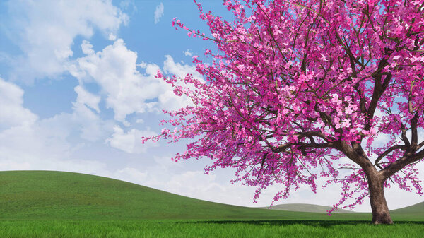 Spring landscape with single blooming pink sakura cherry tree in full blossom on hills covered by fresh green grass at springtime. With no people decorative 3D illustration from my 3D rendering.