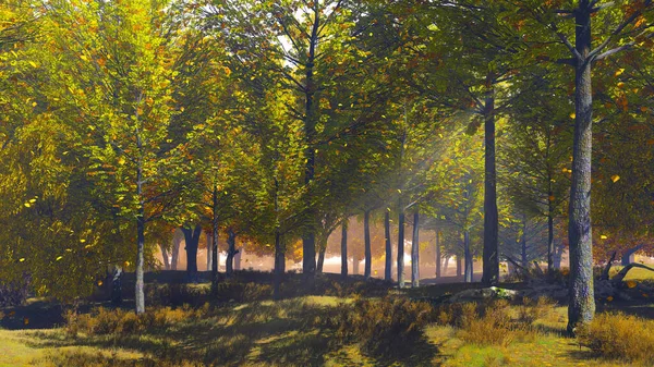 Malowniczy Krajobraz Leśny Skraju Lasu Złotymi Jesiennymi Liśćmi Spadającymi Bujnych — Zdjęcie stockowe