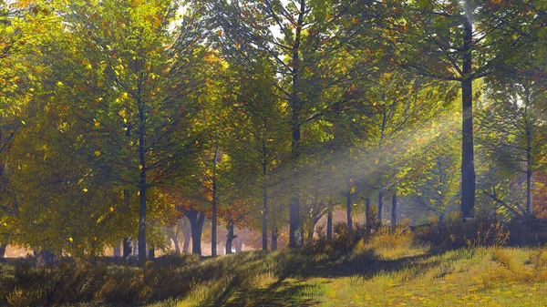 Spokojna Jesienna Sceneria Złotymi Liśćmi Spadającymi Bujnych Jesiennych Drzew Skraju — Zdjęcie stockowe