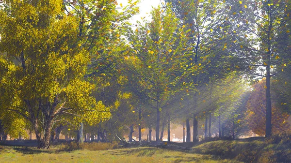 Spokojny Krajobraz Leśny Malowniczym Skraju Lasu Złotymi Jesiennymi Liśćmi Spadającymi — Zdjęcie stockowe