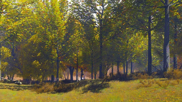 Rustige Herfstlandschap Met Bladeren Vallen Van Weelderige Herfstbomen Aan Rand — Stockfoto
