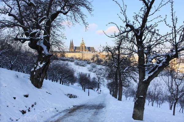Cidade Praga Nevada Com Castelo Gotico Hill Petrin Dia Ensolarado Stock Photo C Cajano 242795342