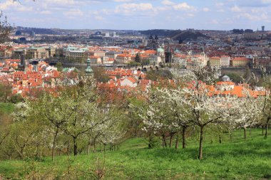 Bahar üzerinde görünümü ile Aziz nicholas Katedrali, Çek Cumhuriyeti Prag