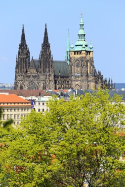 zicht op het voorjaar gotische burcht van Praag met de groene natuur en bloeiende bomen, Tsjechië