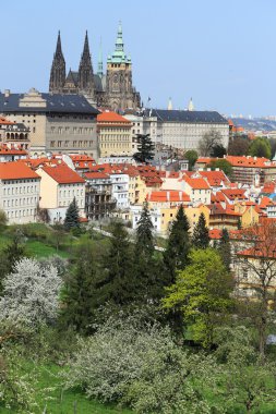 zicht op het voorjaar gotische burcht van Praag met de groene natuur en bloeiende bomen, Tsjechië
