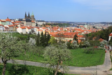 zicht op het voorjaar gotische burcht van Praag met de groene natuur en bloeiende bomen, Tsjechië