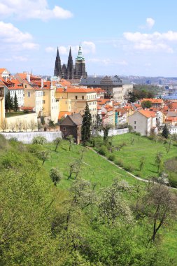 zicht op het voorjaar gotische burcht van Praag met de groene natuur en bloeiende bomen, Tsjechië