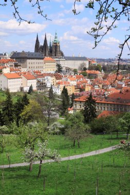 zicht op het voorjaar gotische burcht van Praag met de groene natuur en bloeiende bomen, Tsjechië