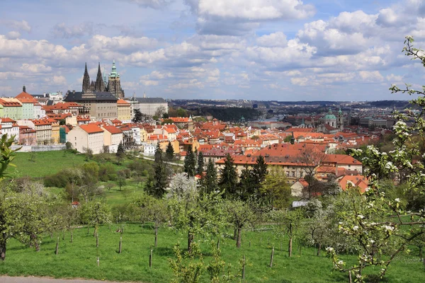 Vista sobre a primavera Castelo gótico de Praga com a natureza verde e árvores floridas, República Checa — Fotografia de Stock
