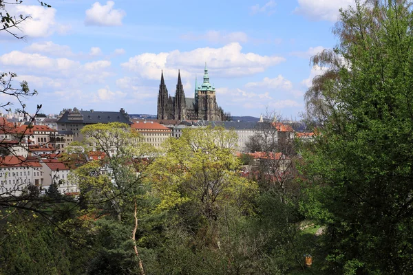 Άποψη σχετικά με την άνοιξη γοτθικό κάστρο της Πράγας με το πράσινο της φύσης και τα ανθίζοντας δέντρα, Τσεχία — Φωτογραφία Αρχείου