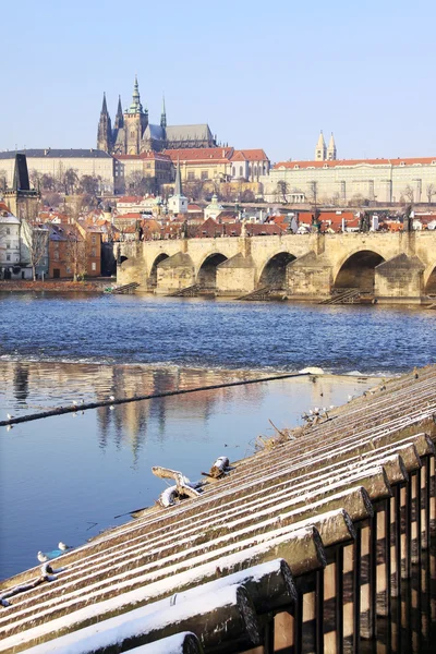 Romantic snowy Prague gothic Castle with the Charles Bridge in the sunny Day, Czech Republic — Stock Photo, Image