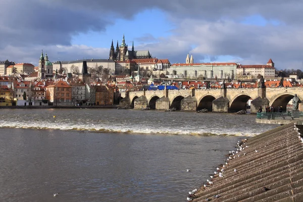 Charles Köprüsü, Çek Cumhuriyeti Prag Gotik Kalesi görüntüleyin — Stok fotoğraf