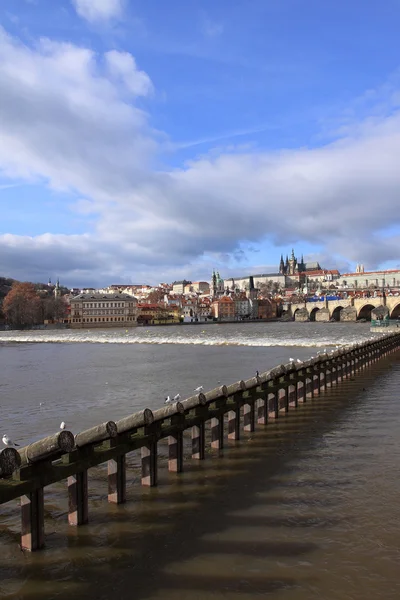 Vista sobre o Castelo Gótico de Praga com a Ponte Charles, República Checa — Fotografia de Stock