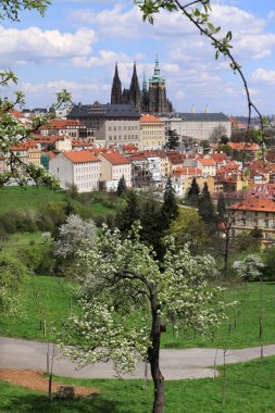 zicht op het voorjaar gotische burcht van Praag met de groene natuur en bloeiende bomen, Tsjechië