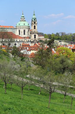 Bahar üzerinde görünümü ile yeşil doğa ve çiçekli ağaçlar, Çek Cumhuriyeti Prag Aziz nicholas Katedrali